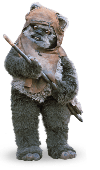 Wicket Systri Warrick
